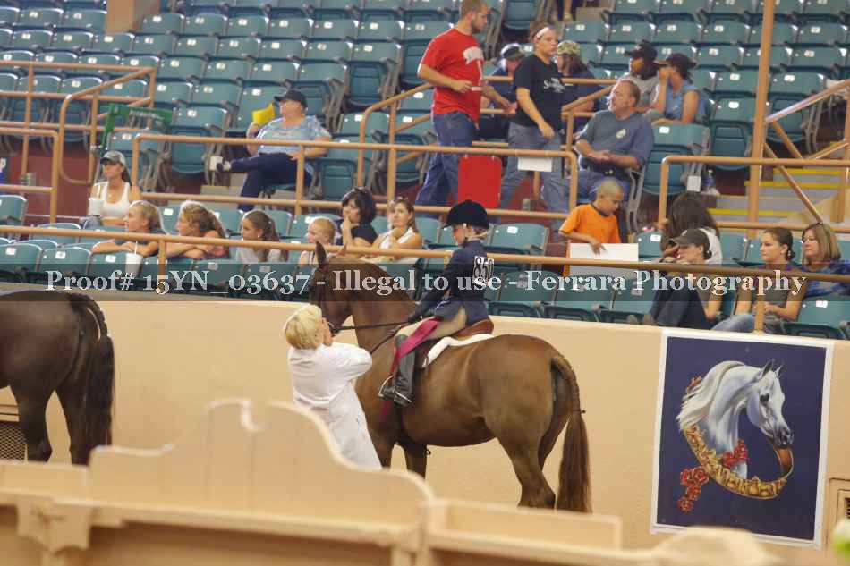 Proof 15YN_03637