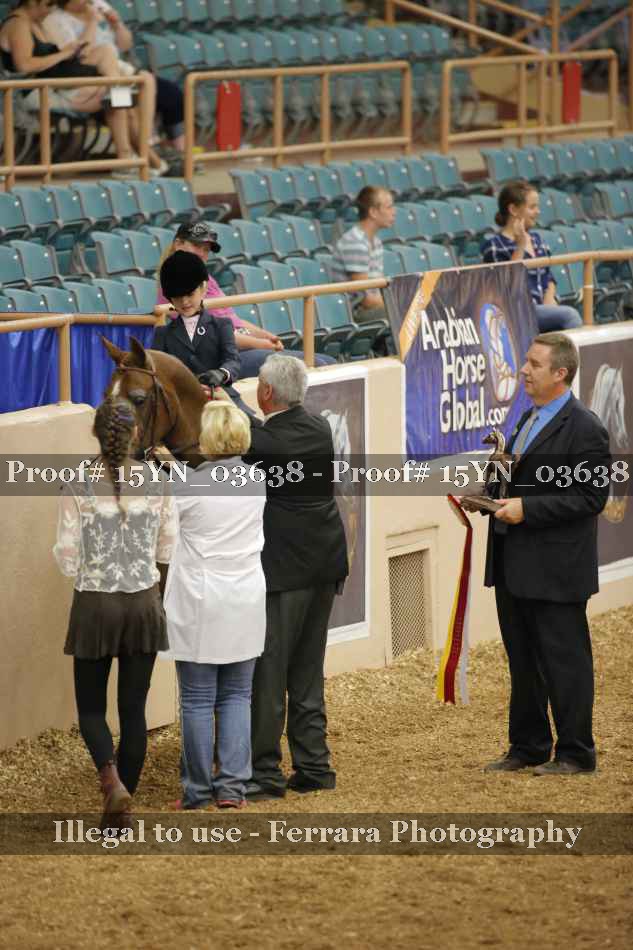 Proof 15YN_03638