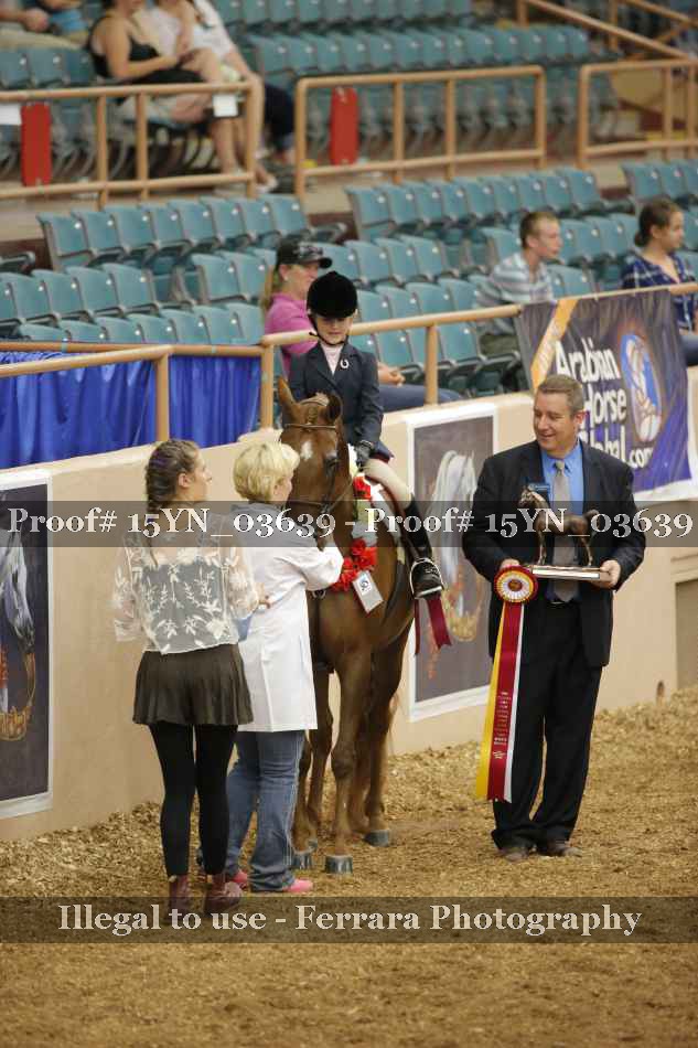 Proof 15YN_03639