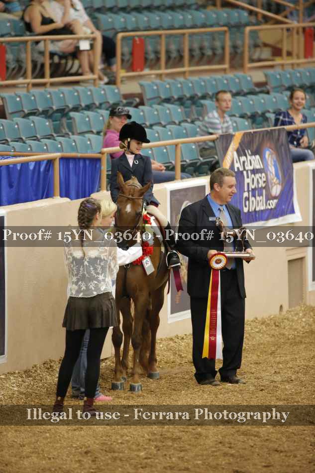 Proof 15YN_03640
