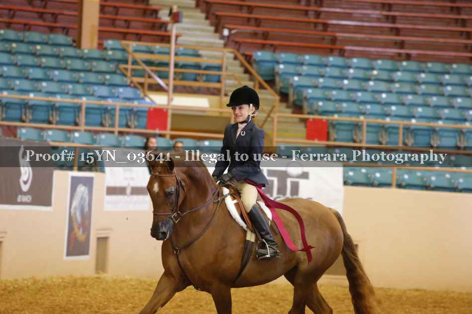 Proof 15YN_03641