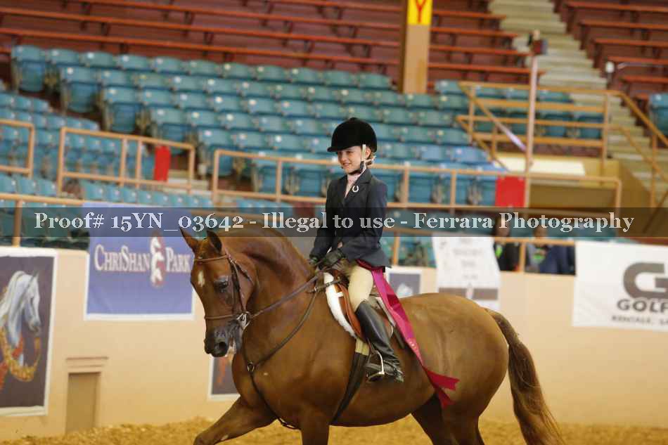 Proof 15YN_03642