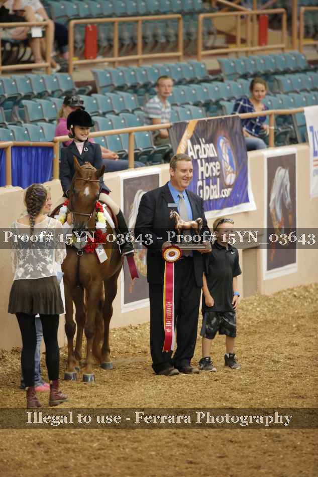 Proof 15YN_03643