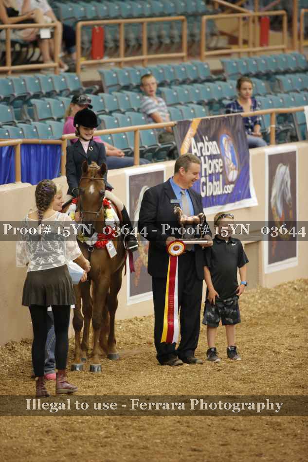 Proof 15YN_03644