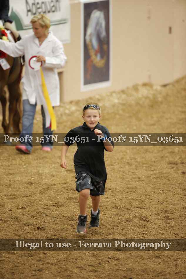 Proof 15YN_03651