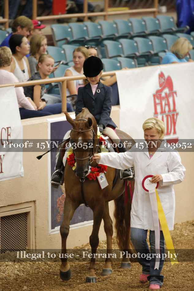 Proof 15YN_03652