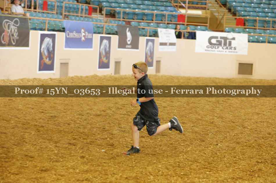 Proof 15YN_03653