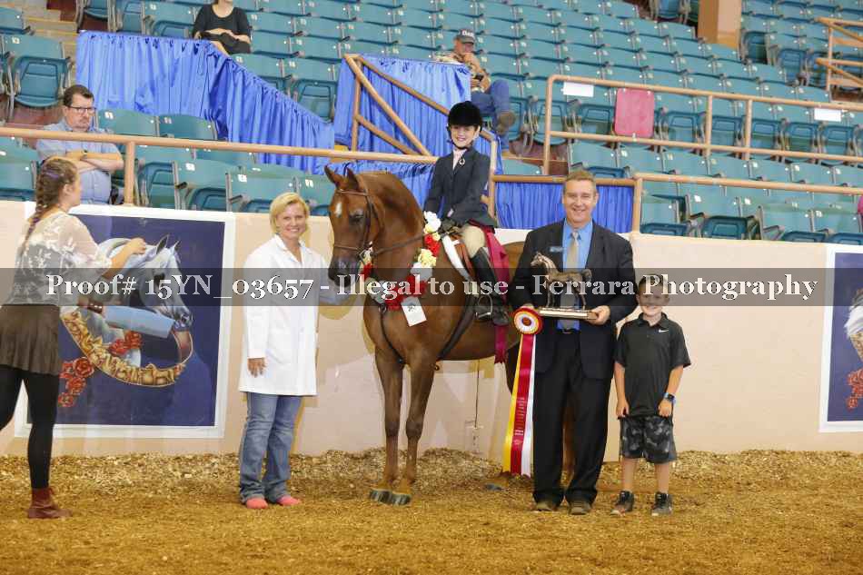 Proof 15YN_03657