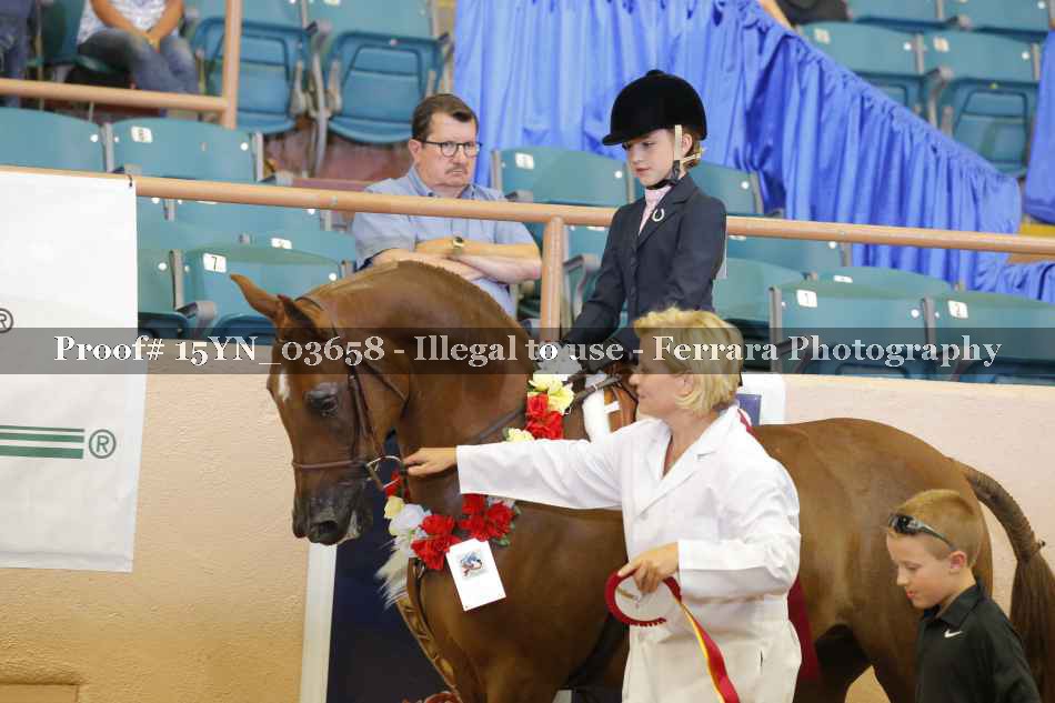 Proof 15YN_03658