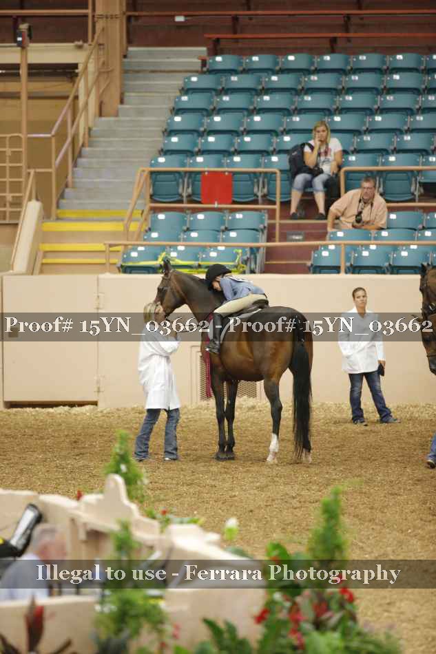 Proof 15YN_03662
