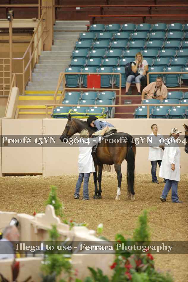 Proof 15YN_03664