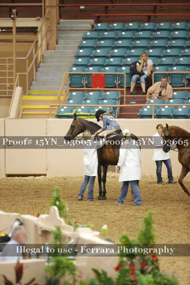 Proof 15YN_03665