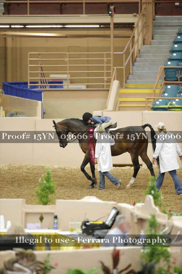 Proof 15YN_03666