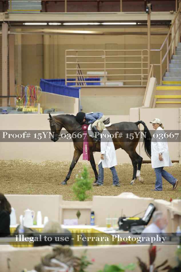 Proof 15YN_03667