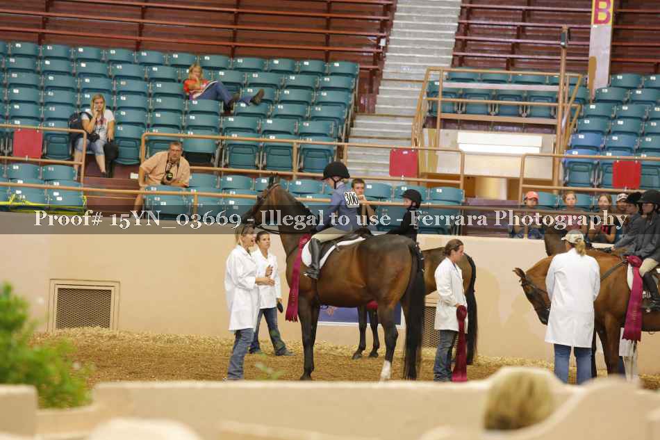 Proof 15YN_03669