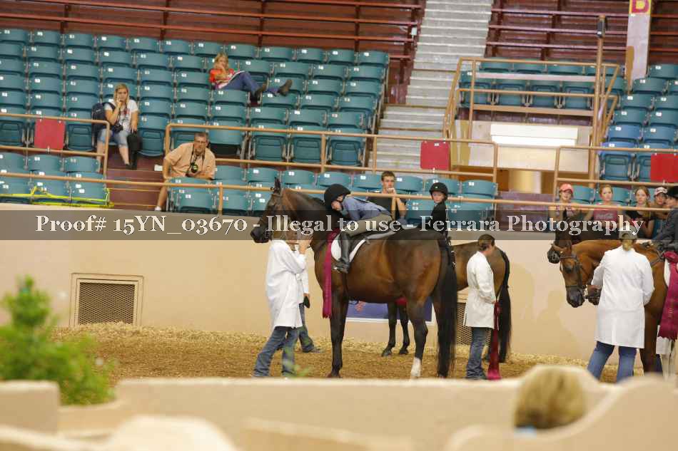 Proof 15YN_03670