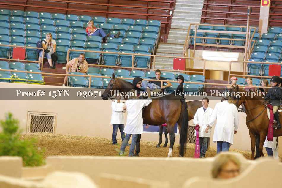 Proof 15YN_03671