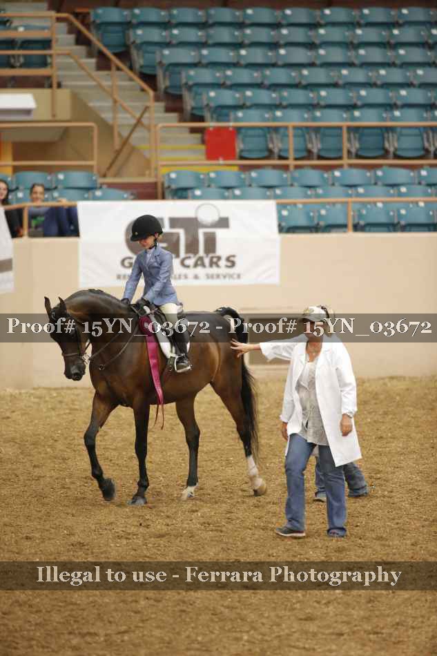 Proof 15YN_03672
