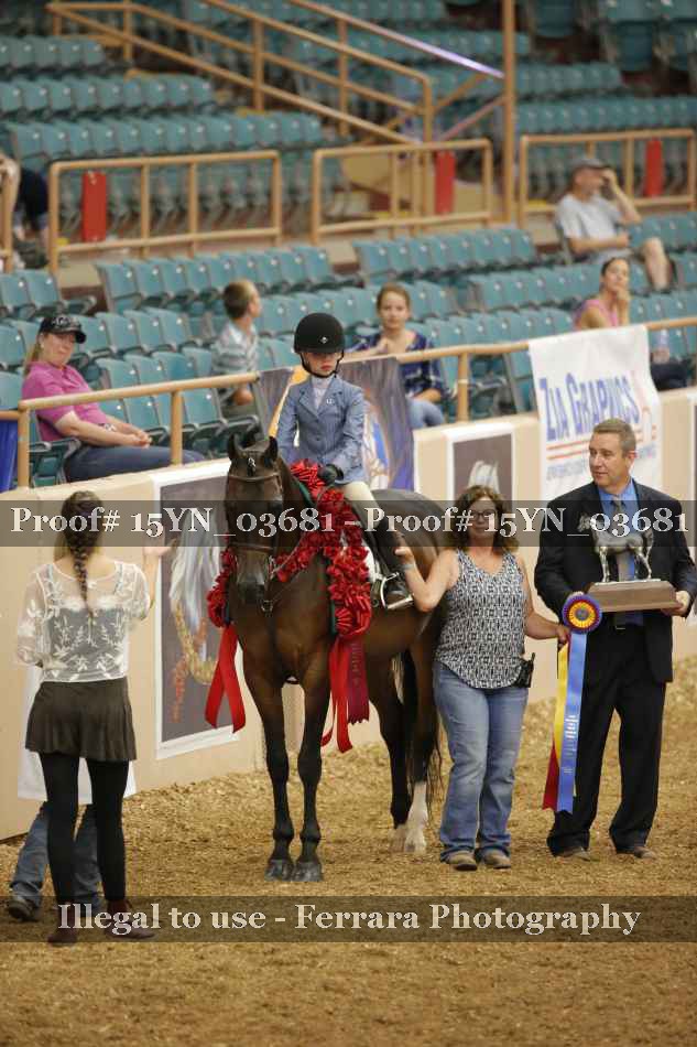 Proof 15YN_03681