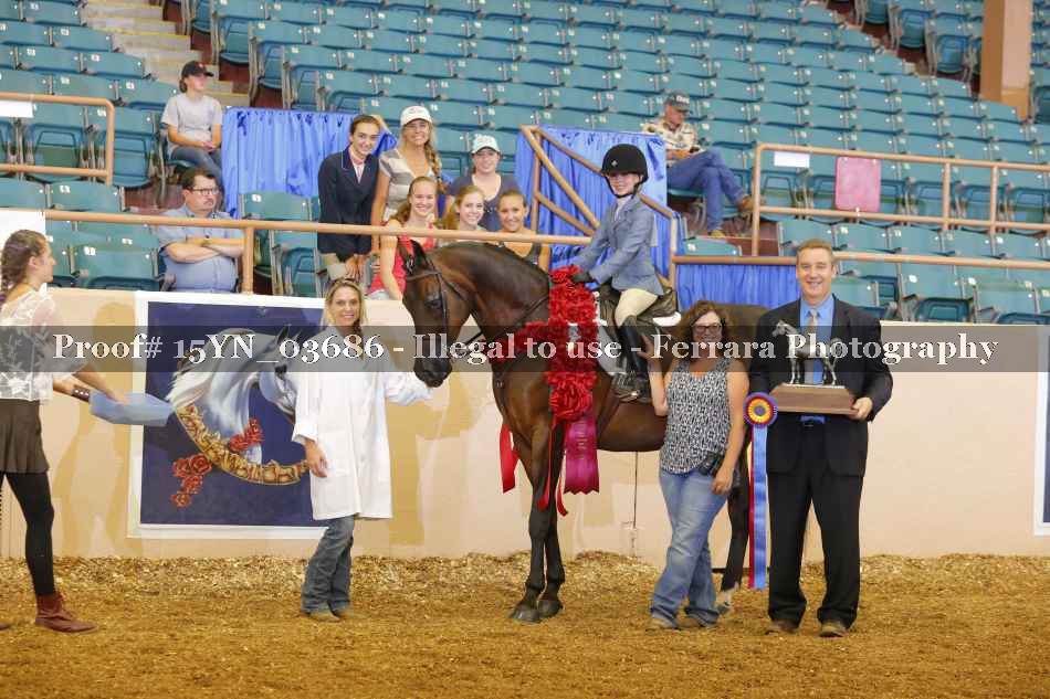 Proof 15YN_03686