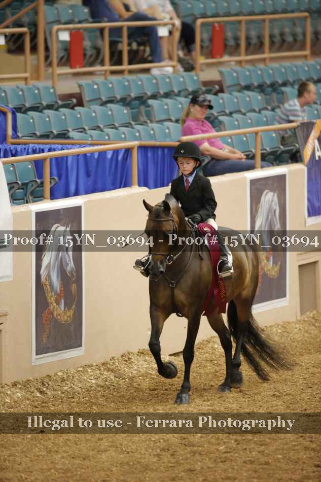 Proof 15YN_03694