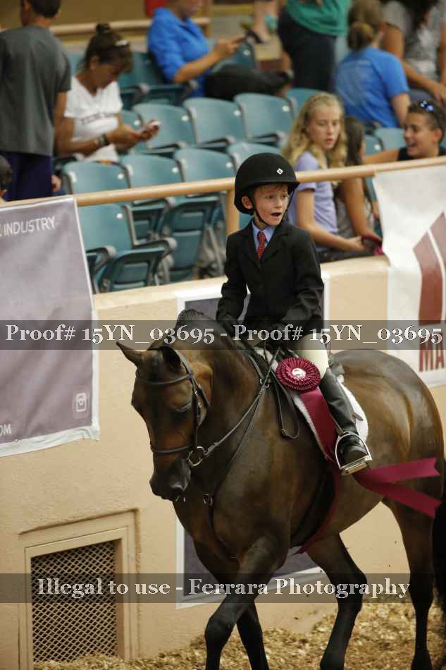 Proof 15YN_03695