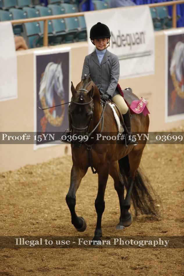 Proof 15YN_03699