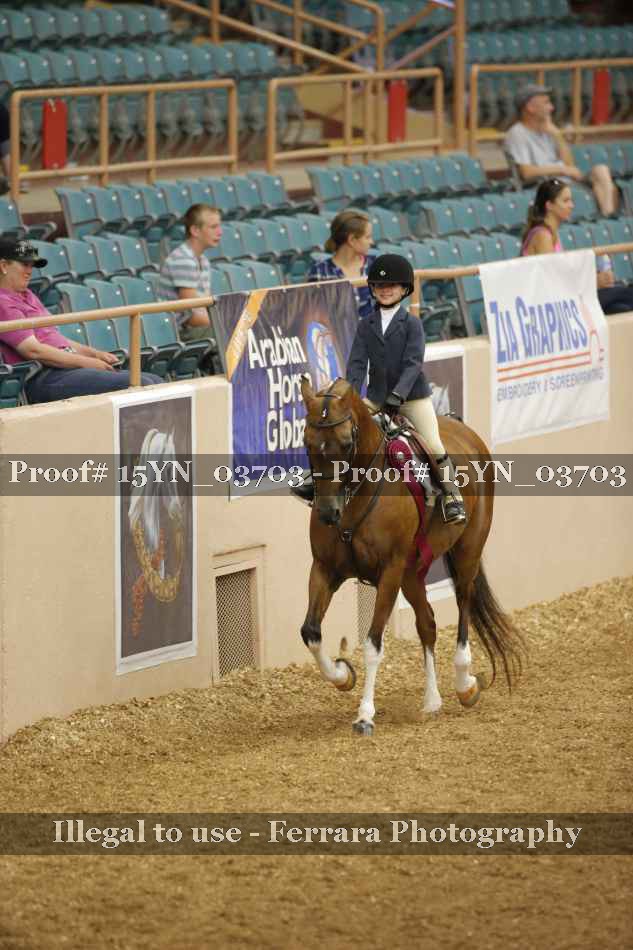 Proof 15YN_03703