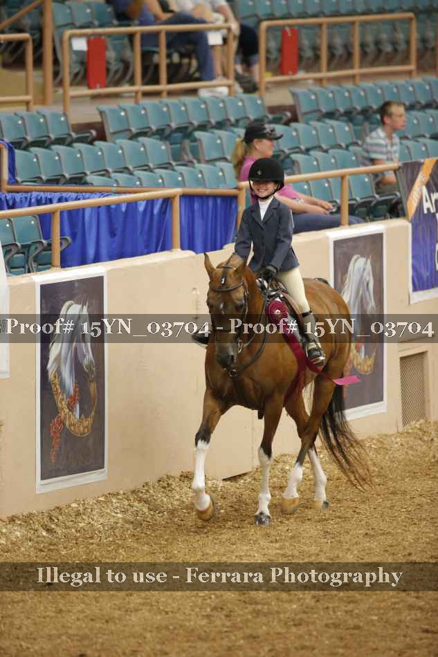 Proof 15YN_03704