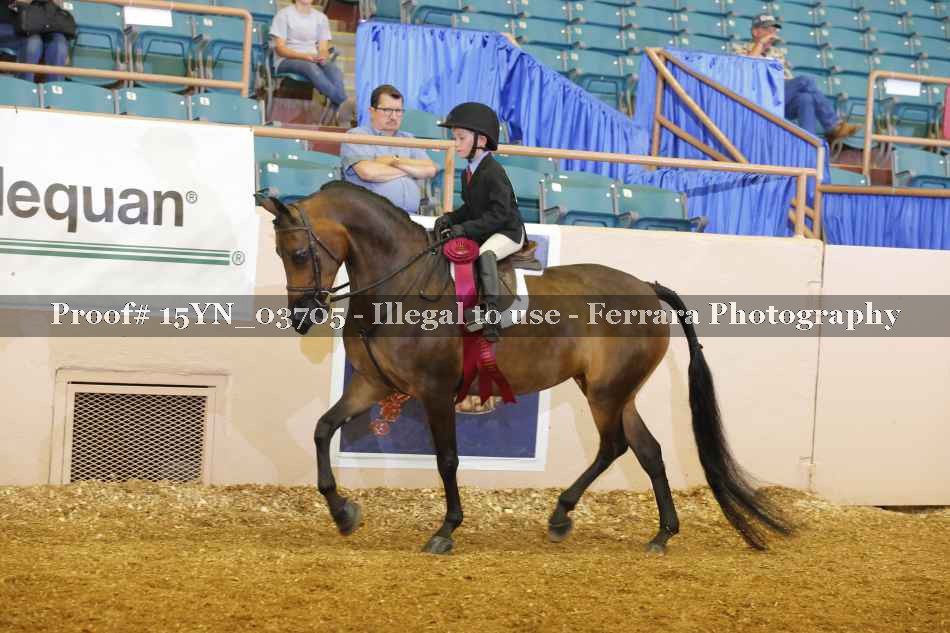 Proof 15YN_03705