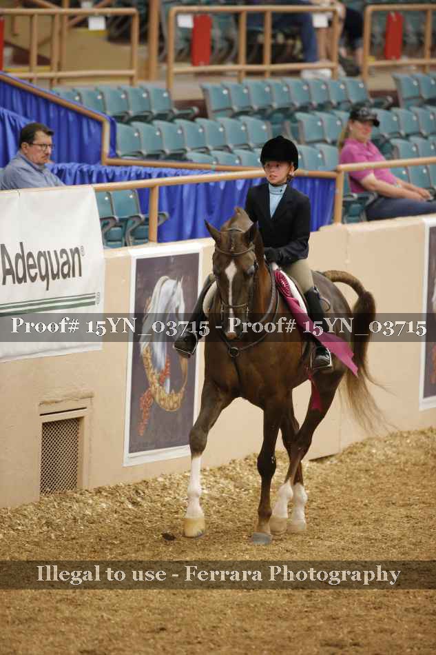 Proof 15YN_03715