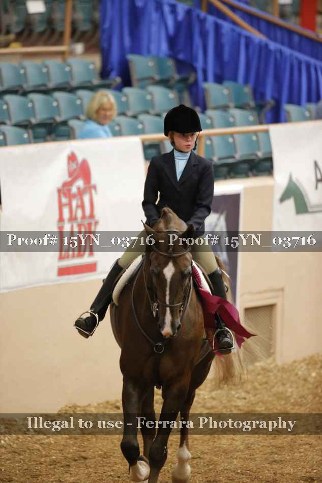 Proof 15YN_03716