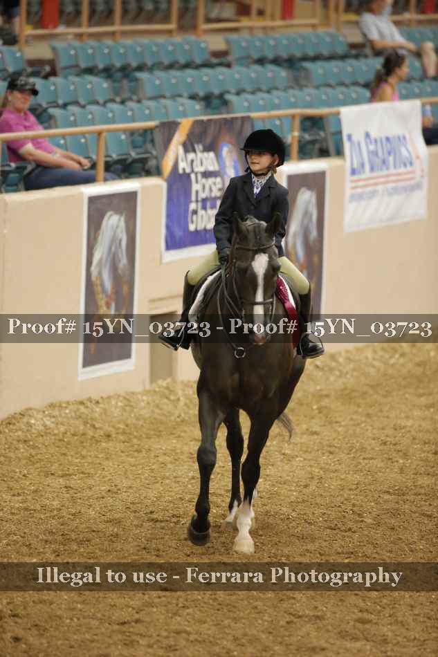 Proof 15YN_03723