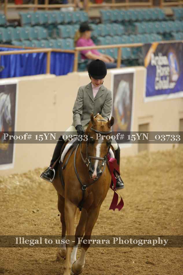 Proof 15YN_03733