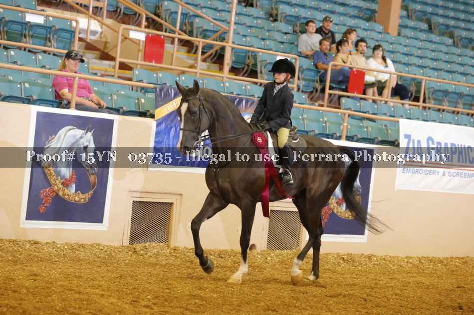 Proof 15YN_03735