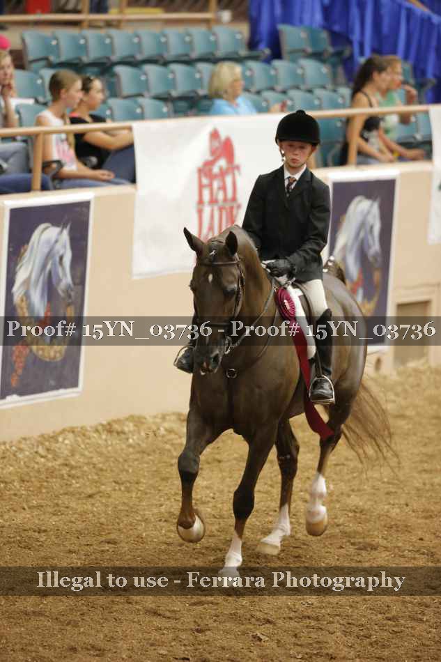 Proof 15YN_03736