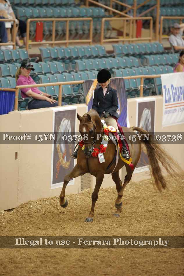 Proof 15YN_03738