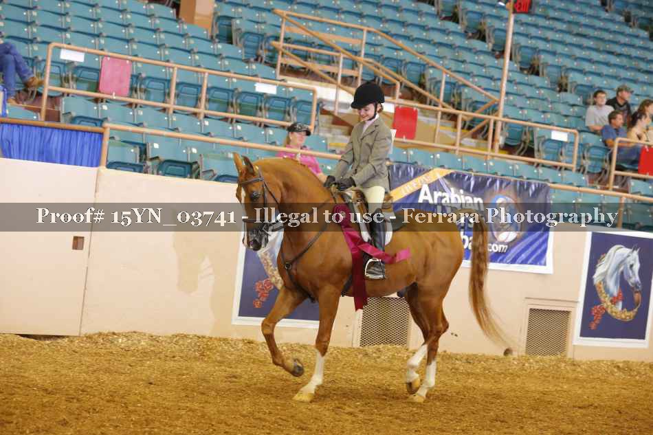 Proof 15YN_03741