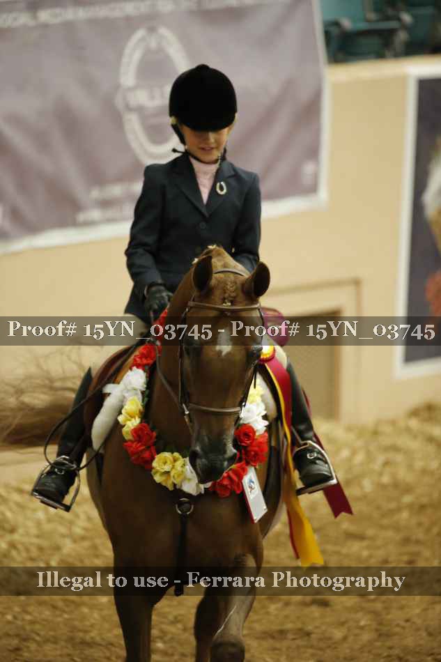 Proof 15YN_03745
