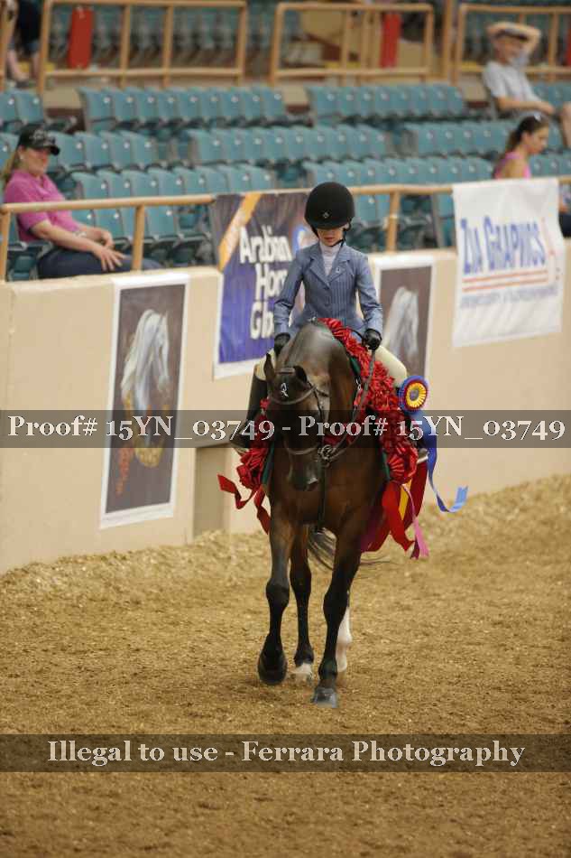 Proof 15YN_03749