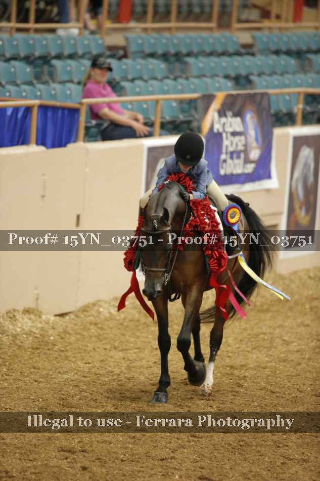 Proof 15YN_03751