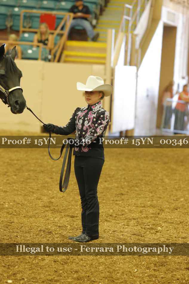 Proof 15YN_00346