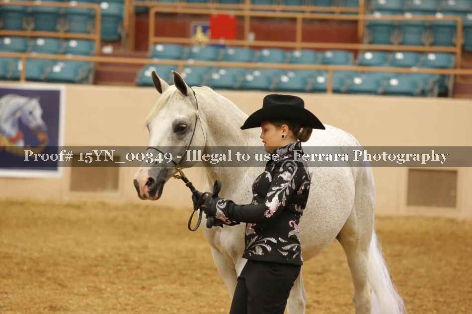 Proof 15YN_00349