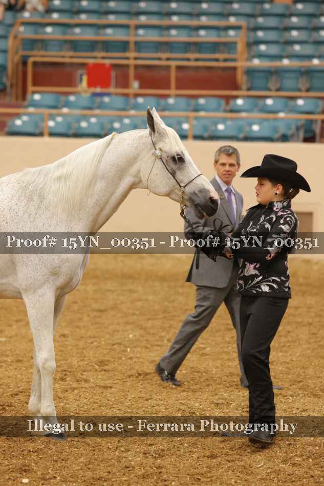 Proof 15YN_00351
