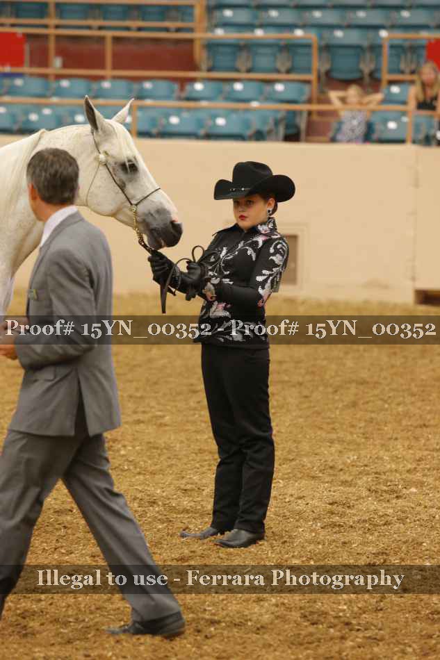 Proof 15YN_00352