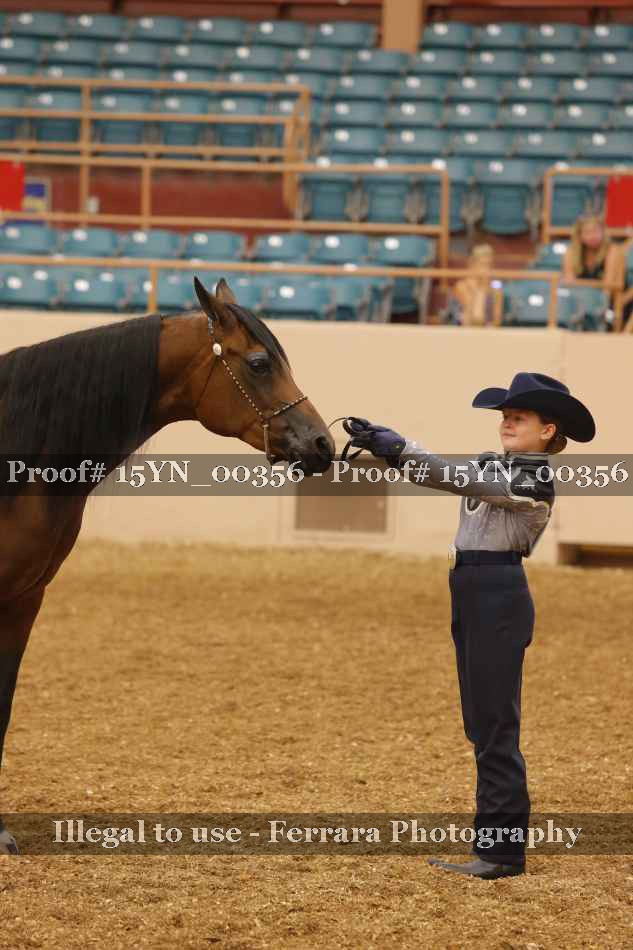 Proof 15YN_00356