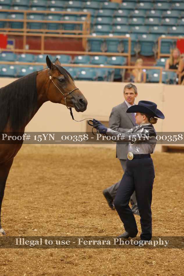 Proof 15YN_00358