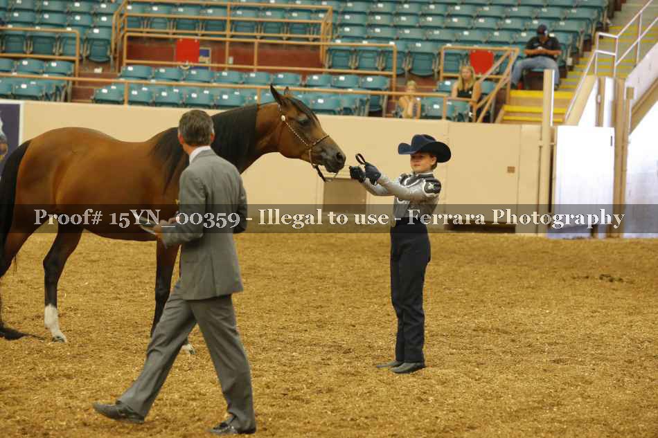 Proof 15YN_00359