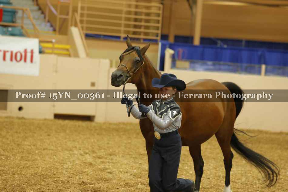 Proof 15YN_00361