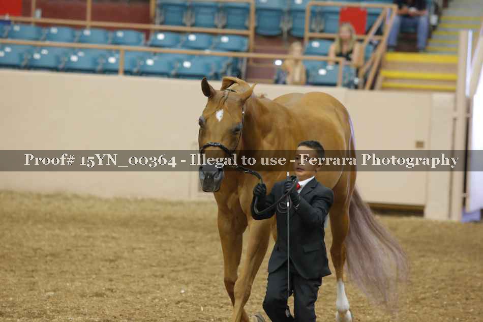 Proof 15YN_00364